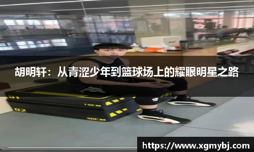熊猫体育