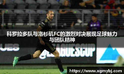 熊猫体育平台